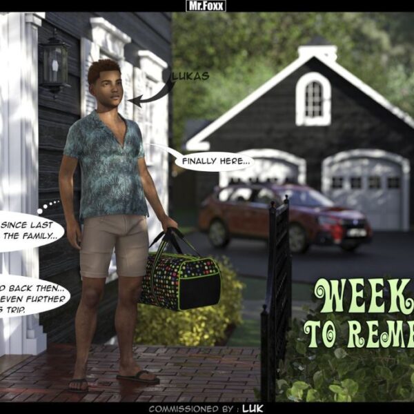 Mr.Foxx - Weekend to Remember